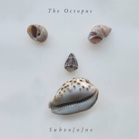 Thumbnail for the Octopus - Subzoone link, provided by host site