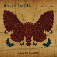Thumbnail for the David Bridie - Succumb link, provided by host site
