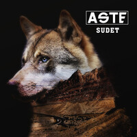 Thumbnail for the Aste - Sudet link, provided by host site
