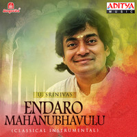 Thumbnail for the U. Srinivas - Sudhamayi link, provided by host site