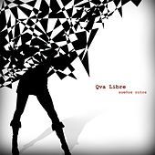 Thumbnail for the Qva Libre - Sueños rotos link, provided by host site