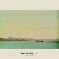Image of Polynation linking to their artist page due to link from them being at the top of the main table on this page
