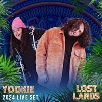 Thumbnail for the YOOKIE - Sugar, We're Goin Down / After All [Mixed] link, provided by host site