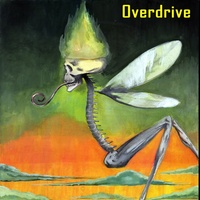 Thumbnail for the Overdrive - Sui Generis link, provided by host site