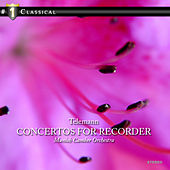 Thumbnail for the Munich Chamber Orchestra - Suite for Orchestra a 2 a-minor (f. Blockflute solo, Str. u. B.c.) Polonaise: Moderato link, provided by host site