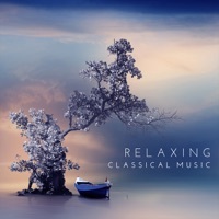 Thumbnail for the Lily Anne - Suite for Variety Orchestra: VII. Waltz No. 2 (Arr. for Piano) link, provided by host site