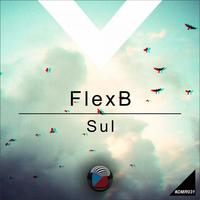 Thumbnail for the Flexb - Sul link, provided by host site