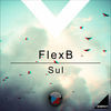 Thumbnail for the Flexb - Sul link, provided by host site