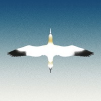 Thumbnail for the 20syl - Sula Bassana link, provided by host site