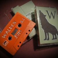 Image of Walden linking to their artist page due to link from them being at the top of the main table on this page