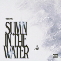 Thumbnail for the Timo - SUM'N IN THE WATER link, provided by host site