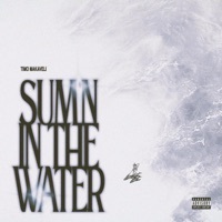 Thumbnail for the Timo - Sum'n In the Water link, provided by host site