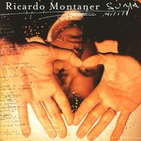 Thumbnail for the Ricardo Montaner - Suma link, provided by host site