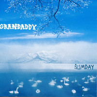 Thumbnail for the Grandaddy - Sumday link, provided by host site