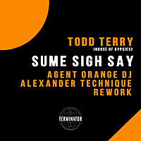 Thumbnail for the Todd Terry - Sume Sigh Say (Agent Orange DJ & Alexander Technique Rework) link, provided by host site