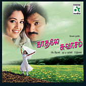 Thumbnail for the Mathangi - Summa Iru link, provided by host site
