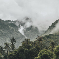 Thumbnail for the Sleep Songs 101 - Summer Blissful Summer Rain Sounds for Relaxation & Meditation link, provided by host site