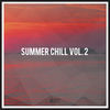 Thumbnail for the Eriq Johnson - Summer Chill, Vol. 2 link, provided by host site
