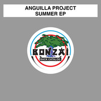 Thumbnail for the Anguilla Project - Summer link, provided by host site