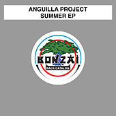 Thumbnail for the Anguilla Project - Summer link, provided by host site