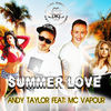 Thumbnail for the Andy Taylor - Summer Love link, provided by host site