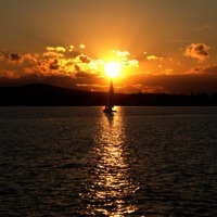 Thumbnail for the Sean Williams - Summer Nights link, provided by host site