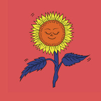 Thumbnail for the Parris - Summer of South West Waves / Dreaming of Sunflowers link, provided by host site