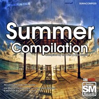 Thumbnail for the Luis Pitti - Summer Vibes link, provided by host site