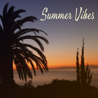 Thumbnail for the Top 40 - Summer Vibes – Holiday Chill Out Music 2017, Beach Party, Ibiza Lounge, Tropical Chill, Good Mood, Positive Energy link, provided by host site