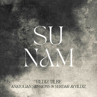 Thumbnail for the Yıldız Tilbe - Sunam link, provided by host site