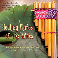 Thumbnail for the Mesa Music Consort - Sunchasers of the Andes link, provided by host site
