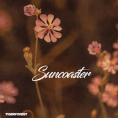 Thumbnail for the Tigerforest - Suncoaster link, provided by host site
