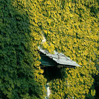 Thumbnail for the Yellow House - Sunday link, provided by host site