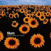 Thumbnail for the Slum - Sunflowers of Today link, provided by host site