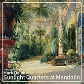 Thumbnail for the Mark Delisle - Sunlight Quartets at Mandolin link, provided by host site