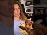 Thumbnail for the Twinnie - Sunny and Something Or Somebody! #cockapoo #fyp #shorts link, provided by host site
