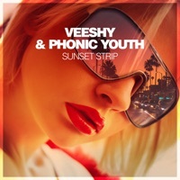 Thumbnail for the Veeshy - Sunset Strip (Instrumental Mix) link, provided by host site