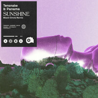 Thumbnail for the Tensnake - Sunshine (Black Circle Remix) link, provided by host site