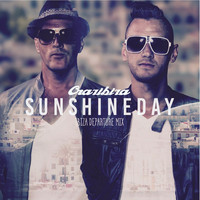 Thumbnail for the Crazibiza - Sunshine Day (Radio Mix) link, provided by host site