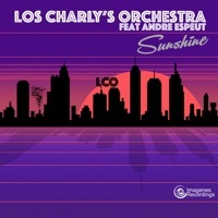 Thumbnail for the Los Charly's Orchestra - Sunshine link, provided by host site