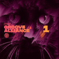 Thumbnail for the Tomaz - Sunshine - Funk Assault Remix link, provided by host site