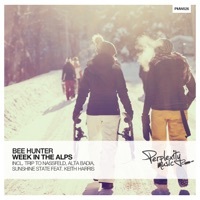 Thumbnail for the Bee Hunter - Sunshine State link, provided by host site