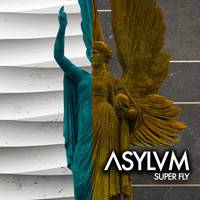 Thumbnail for the Asylum - Super Fly (Original Mix) link, provided by host site