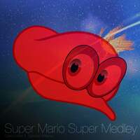 Thumbnail for the David Fowler - Super Mario Super Medley link, provided by host site