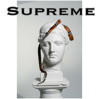 Thumbnail for the No Logo - Supreme (Electronic Version) link, provided by host site