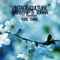 Thumbnail for the Vintage Culture - Sure Thing link, provided by host site