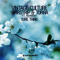 Thumbnail for the Vintage Culture - Sure Thing link, provided by host site
