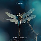 Thumbnail for the Amon Tobin - Surge link, provided by host site