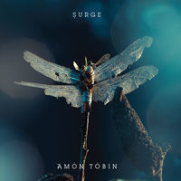 Thumbnail for the Amon Tobin - Surge link, provided by host site