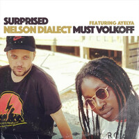 Thumbnail for the Nelson Dialect - Surprised link, provided by host site